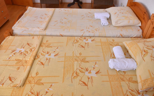 Apartment and Studio Damjan