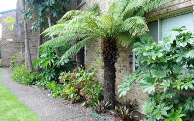 Beachfront Apartments