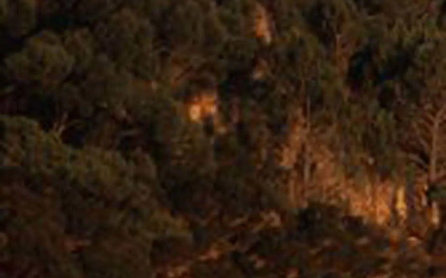 Wheelhouse Apartments