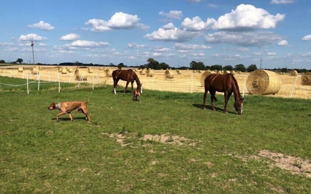 Willa Stara Wozownia