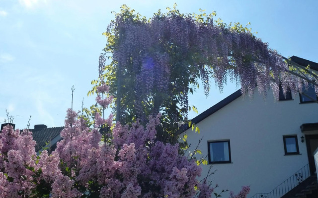Weingut Harald Ludwig
