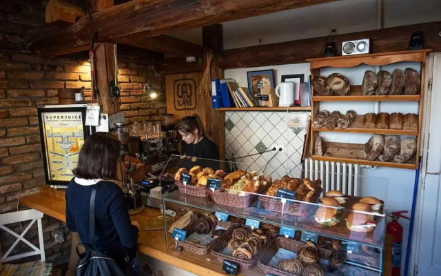 Cozy Apartment with Garden in the Castle District