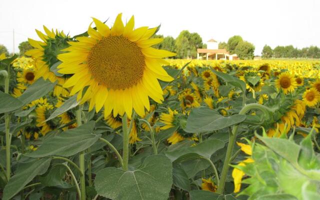 Agriturismo Le Pescine