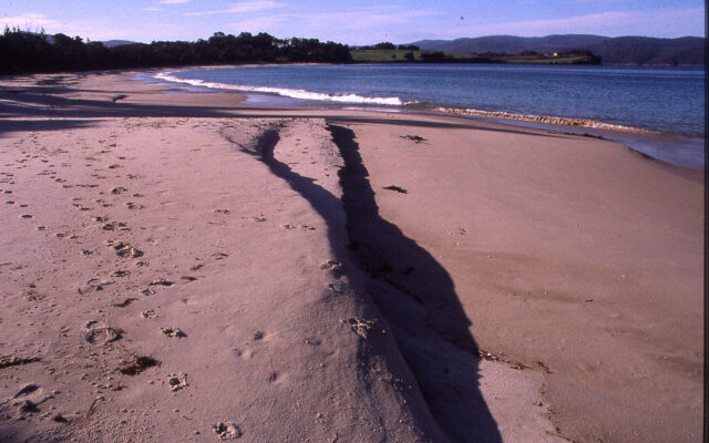 Sea Change Safety Cove