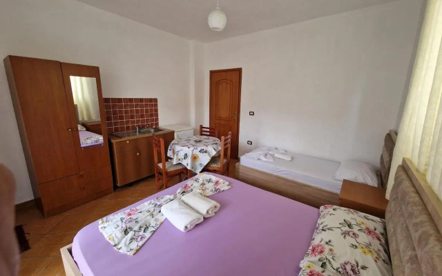 Guest House Pisha