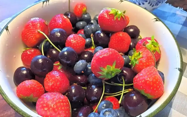 Bed & Breakfast De Stippelberg