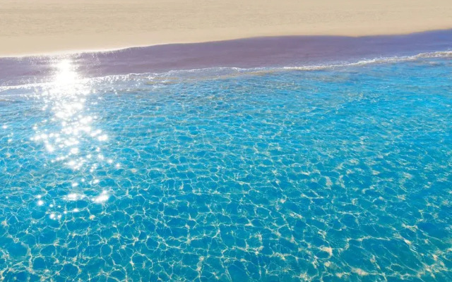 Artesol in Platja de l Arenal