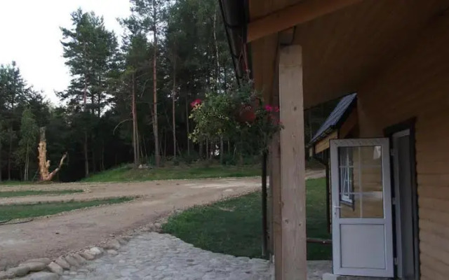 Vitų oazė