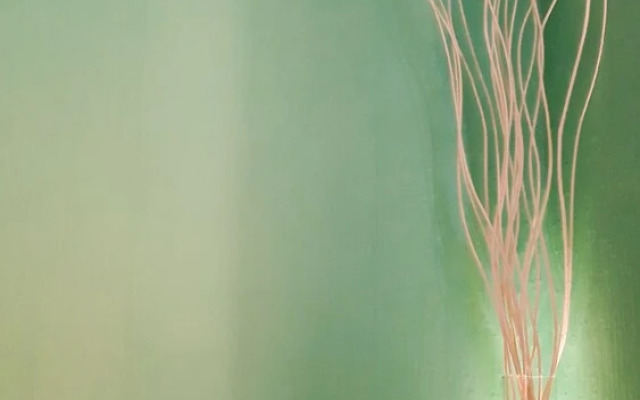 Sakura Villa Osaka