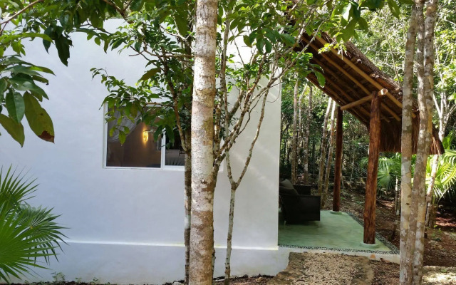 Pura Vida Cancun