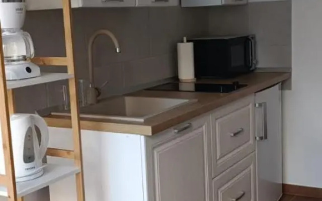 Ružica 2