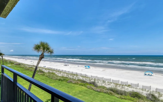 Sand Dollar 306