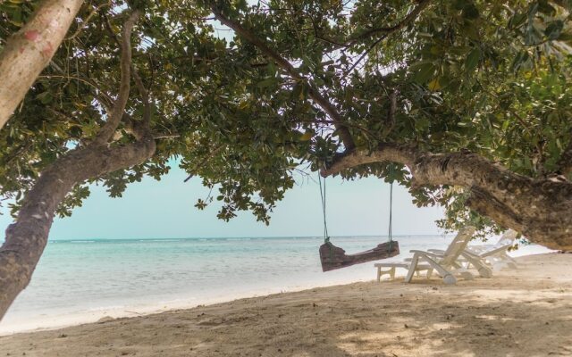 Palm Rest Maldives