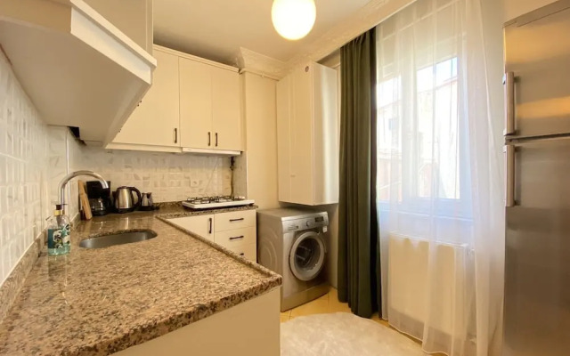 Cozy and Classy Flat Near Taksim Square in Beyoglu