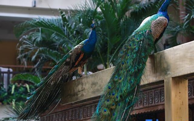 Panjin Ecological Hotel