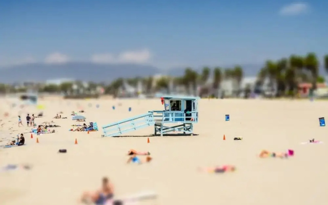 Walk to Venice Beach From a Sleek Apartment
