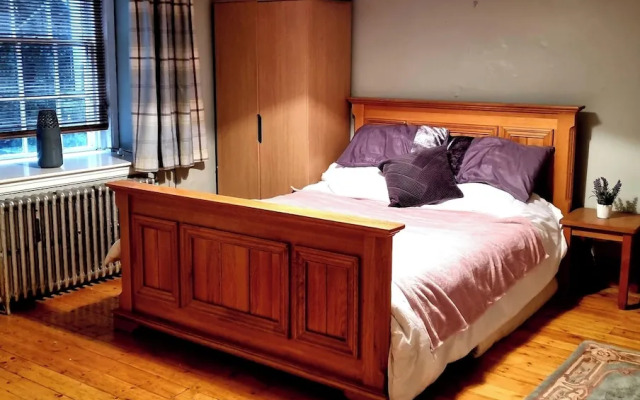 A Basement Apartment