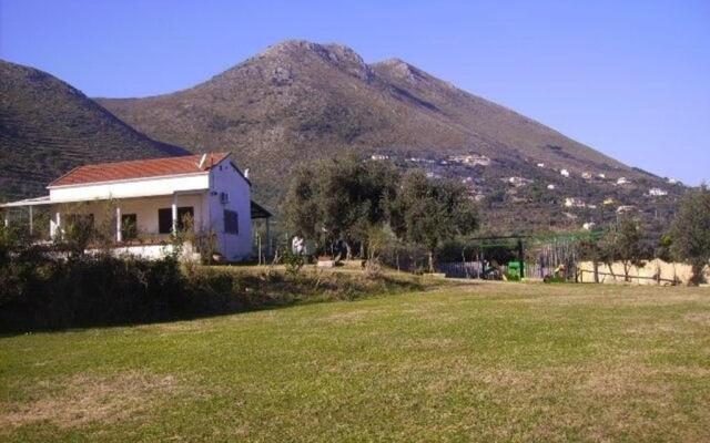 Azienda Agricola 25 Ponti