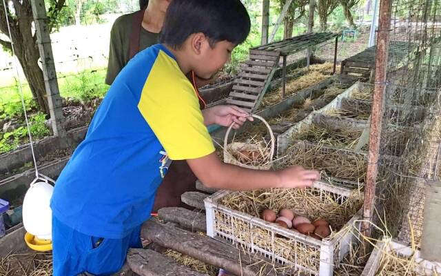 Tantai Eco Farm Stay at Khao Yai