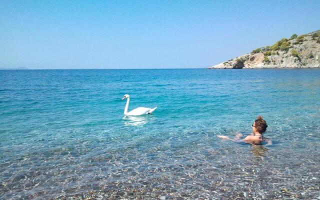 Beachfront self-catering studios in Psatha Bay - 60km from Athens