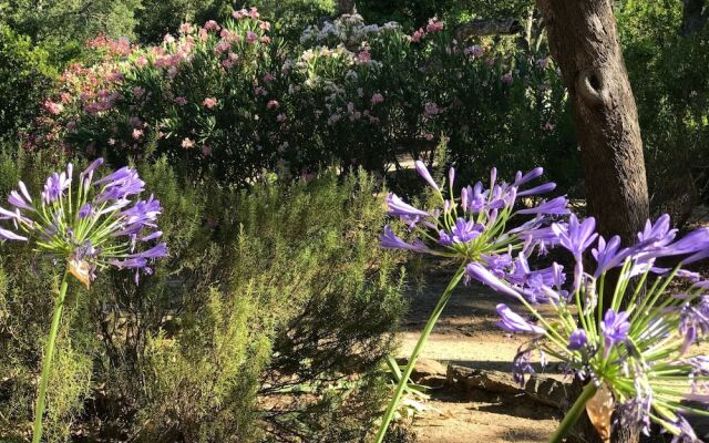 Peaceful Villa in Cogolin with Private Pool