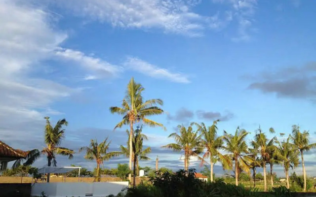 Canggu Stay