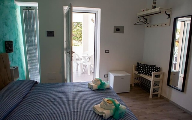 B&B Dionea