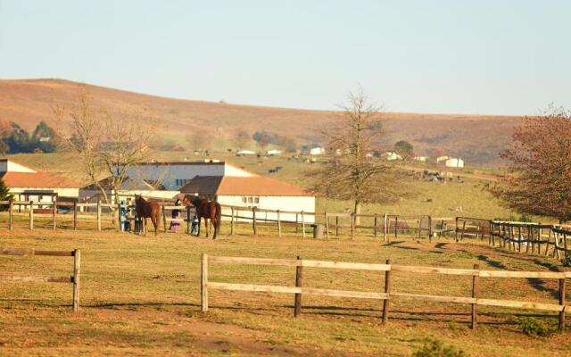 Midlands Saddle and Trout