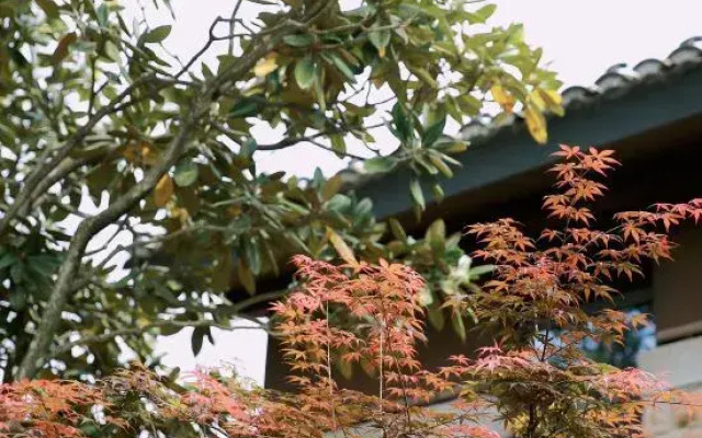 Haixia Youth Camp Resort & Hotel