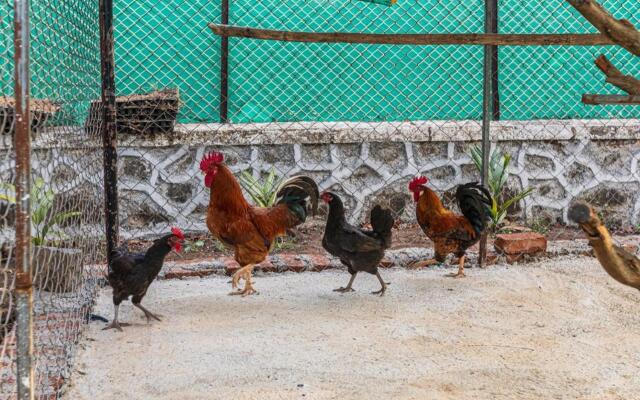 SaffronStays Serene Retreat, Alibaug