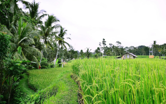 Ubud Sawah Homestay