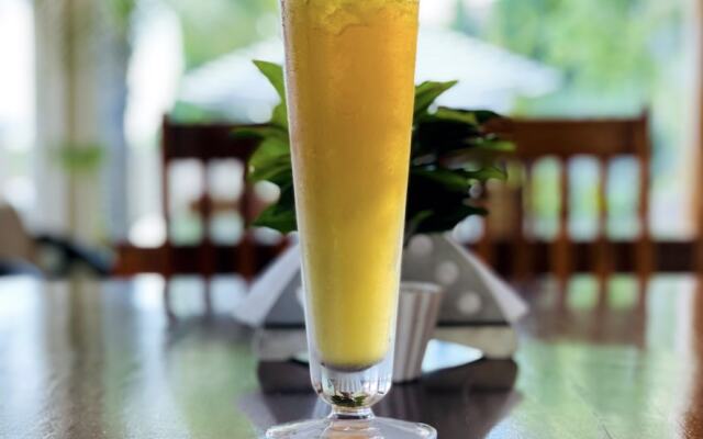 Yog Niketan by Sanskriti