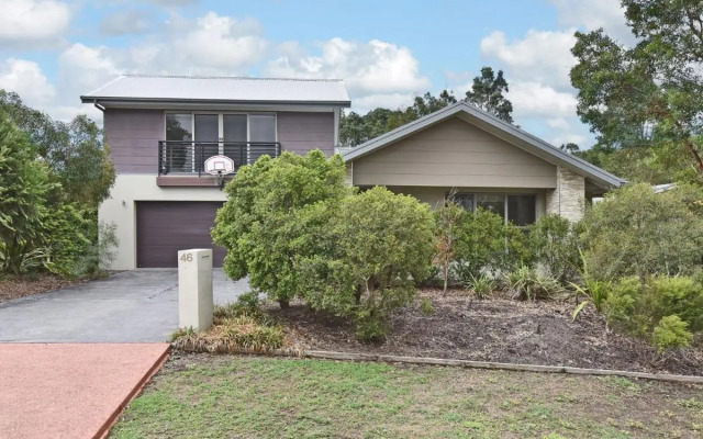 Angophora @ The Vintage