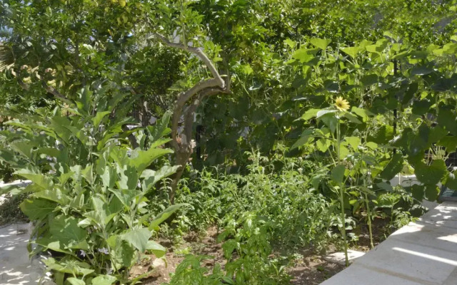 La Casa tra San Vito Lo Capo e Erice