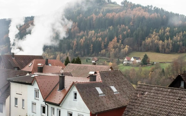 HAUS IRENE gemütlich moderner Schwarzwald