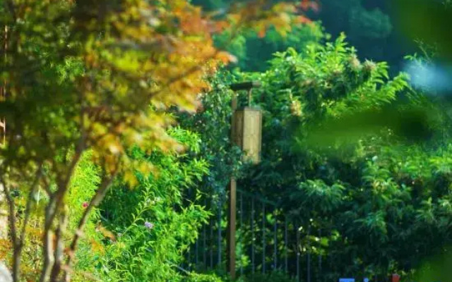 Lushan Commune
