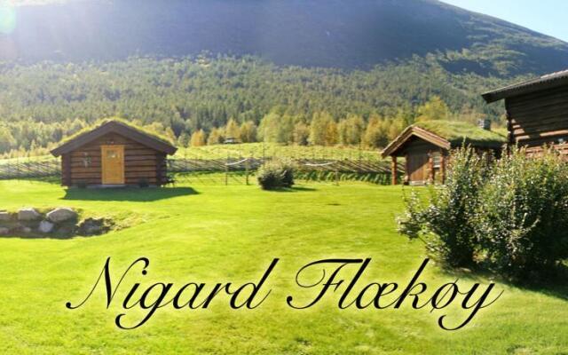 Nigard Flækøy