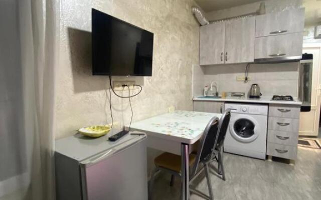 Apartment studio maksim