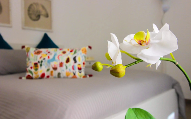 Le Casette di Marcì