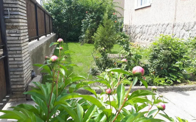 Nagyiék háza / Granny's House