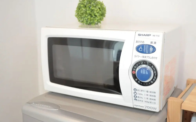 Vivid Zebra House - 197-1