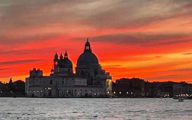 Biennale Gallery Suite