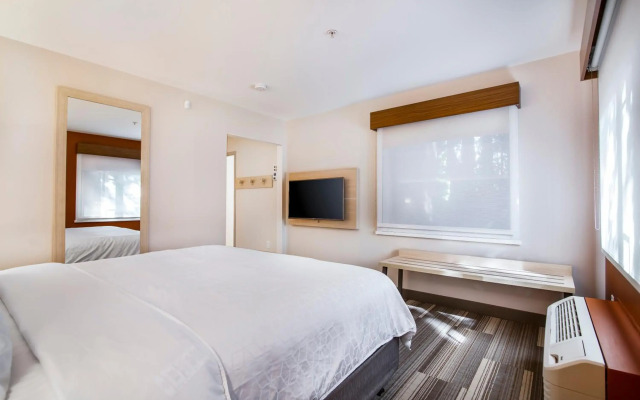 Holiday Inn Express & Suites Langley by IHG