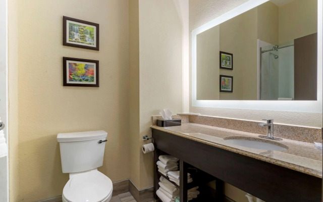 Comfort Suites Kingwood Houston North