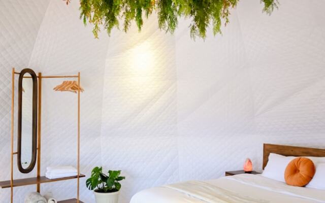 ALMA Glamping