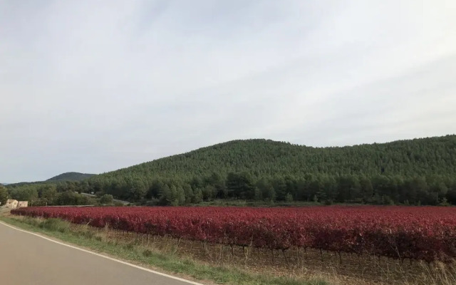 Hotel Rural El Molí