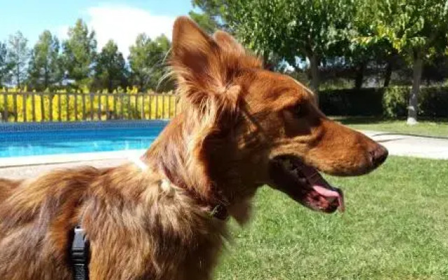 Montsant Park Camping & Bungalow