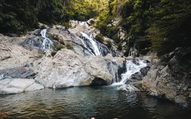 Tree of Life - Hostel