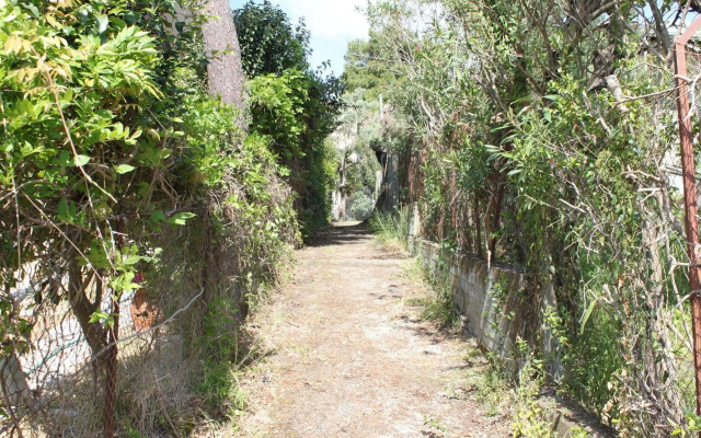 Lefkada Summer House