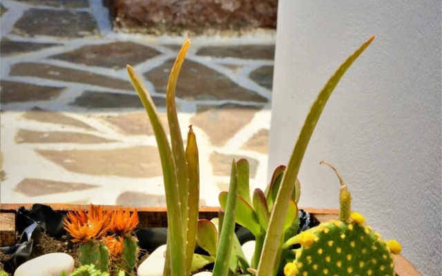 Moraitis Studios Dioni Lux Inn